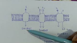 UNIPORT AND COTRANSPORT [upl. by Weisbart]