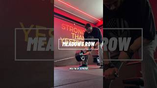 Meadows row bodybuilding [upl. by Ecyar]