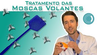 Moscas volantes  tratamento [upl. by Danieu76]