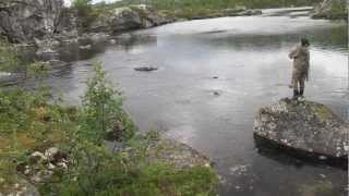 Troutfishing in Sweden Arjeplog [upl. by Suciram]