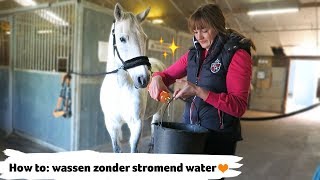 HOW TO paard wassen zonder stromend water  27  Epplejeck [upl. by Secor]