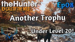 Fresh Start Ep8  theHunter Call of the Wild [upl. by Figone]