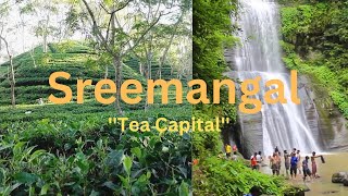 Nature and Environment of Tea Capital Sreemangal [upl. by Merow711]