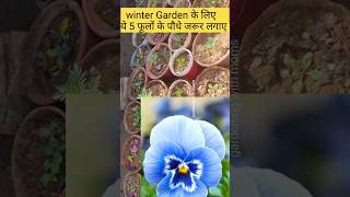 5 most beautiful flowering plants for winter winterflowersname winterflower shorts ytshorts [upl. by Kendy193]