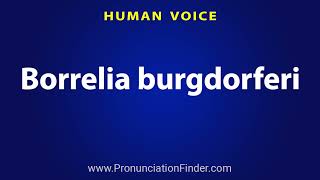 How To Pronounce Borrelia burgdorferi [upl. by Azne]