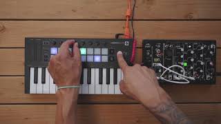 Arpeggiator  Launchkey Mini  Novation [upl. by Akem]