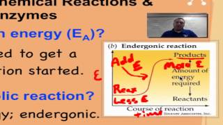 Chapter 2D Part 1 Chemical Reactions [upl. by Keheley755]