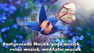 Rustgevende Muziek yoga muziek relax muziek meditatie muziek [upl. by Einneg]