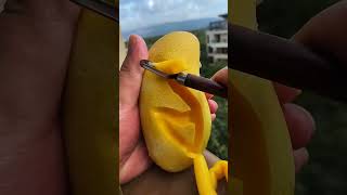 Enjoy Beautiful Dried Persimmon fruit720P60FPS [upl. by Virge]