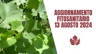 aggiornamento fitosanitario 13 agosto [upl. by Aissej207]