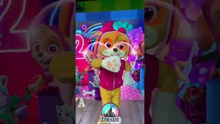 Skye  PAW PATROL 🩷🐾 pawpatrol skye musicainfantil cancionesinfantiles show shorts nickjr [upl. by Mcevoy]