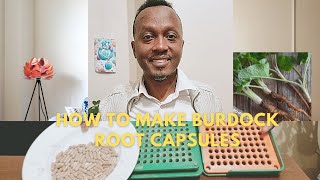 How to make Burdock root capsules [upl. by Hurlee]