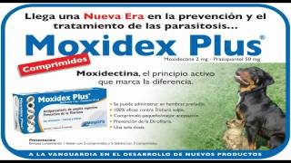 Moxidex Plus Antiparasitario en Comprimidos Contiene Moxidectina y Praziquantel [upl. by Greiner]