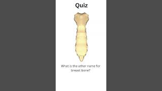 name of breast bone breastboneboneshortsfeed shortsquiz anatomy [upl. by Anaiek]