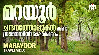 ചന്ദനത്തോപ്പുകൾ കണ്ടു ഗ്രാമത്തിൽ രാപ്പാർക്കാം  Munnar  Marayoor  Kanthalloor  MM Travel Guide [upl. by Eyahs]