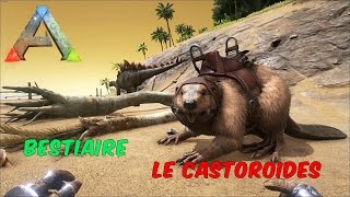 Ark Survival Evolved  FR  Bestiaire  Le Castoroides [upl. by Gottuard]