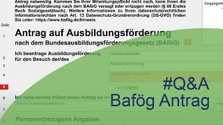 BafögAntrag So füllst du ihn richtig aus [upl. by Houlberg]