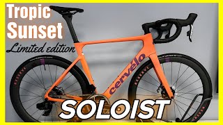 Cervelo Soloist Tropic sunset Limited edition  lightweight and aerodynamic road bike [upl. by Anahpos]