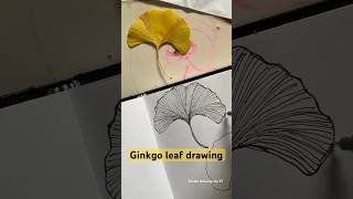 Lineart of Ginkgo leaf  learndrawing simpledrawing [upl. by Ansley]