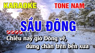 Karaoke Sầu Đông Tone Nam Nhạc Sống Dễ Hát  Nguyễn Linh [upl. by Nevart98]