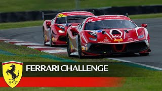 Ferrari Challenge UK Snetterton Race 2 Highlights [upl. by Dee]