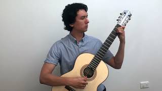 Classic Guitars Intl presents Julia Florida by Agustin Barrios played on guitar by Cary Pedicini [upl. by Ranger]