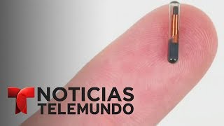 Implantan microchips a empleados de una empresa en Wisconsin  Noticiero  Noticias Telemundo [upl. by Kyriako]