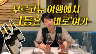 올리비에 르플레이브Olivier Leflaive 호텔 레스토랑🥂 프랑스 부르고뉴 여행에서 꼭 가봐야할 곳 [upl. by Walliw514]