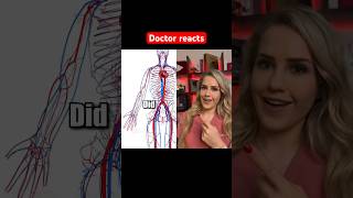 Doctor reacts anatomy fun fact [upl. by Eemia376]