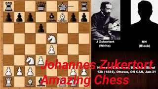 NN vs Johannes Zukertort zukertort amazing chess zukertort sacrificeall chess gameschess [upl. by Blanchette435]