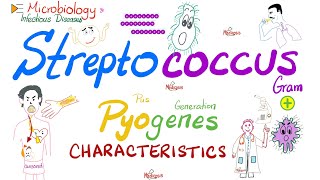 Streptococcus Pyogenes  Group A Strept GABS Characteristics  Microbiologyamp Infectious Diseases [upl. by Adnilrem]