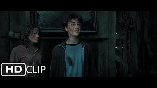 The Truth of Peter Pettigrew  Harry Potter and the Prisoner of Azkaban [upl. by Renmus]