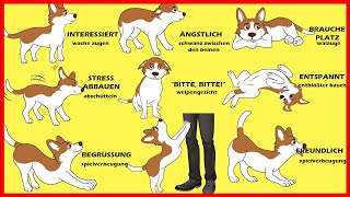 Die Körpersprache von Hunden erklärt [upl. by Affra442]