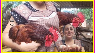 🥚 Cómo mejorar los NIDOS DE LAS GALLINAS🥚✅ Me despido de la GRANJITA☹😱❓ Alina Albarrán [upl. by Geaghan]