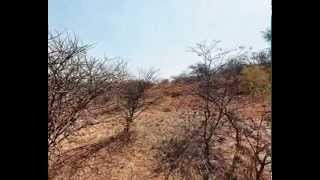 2170m2 Land for Sale in Hartbeesfontein Extension 14  J60196 [upl. by Halimaj108]