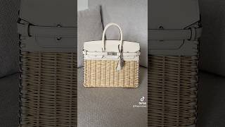 Hermès Birkin 25 PICNIC hermes birkin25 styleinspiration [upl. by Avrom]