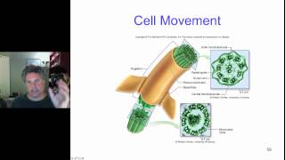 Cinelecture 26  The Cytoskeleton Cell Movement Extracellular Matrices [upl. by Benedikta194]