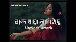 Bonde Maya Lagaise SlowedReverb মায়া লাগাইছেMizanur Vibes [upl. by Doig]