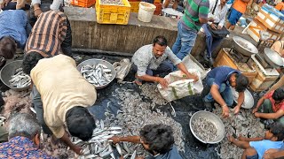 Biggest Fish Market in Hyderabad Ramnagar Walking Tour India [upl. by Ontine]