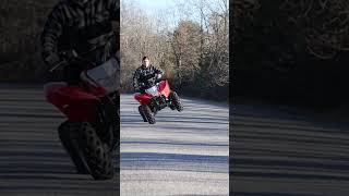 HONDA TRX 250 on 2 WHEELS quads [upl. by Bashuk]