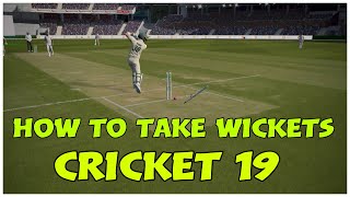 CRICKET 19 HOW TO TAKE WICKETS 2021 GAMEPLAY [upl. by Buddy]