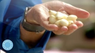 Peeling a Head of Garlic  Martha Stewarts Cooking School [upl. by Crystal]