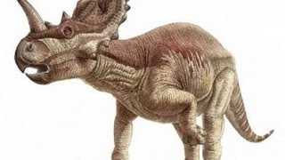 ¿Cuál fue el primer dinosaurio  Enciclopedia sobre Dinosaurios [upl. by Settera]