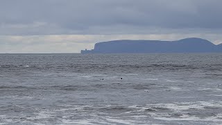 Thurso surfers surf staffylovers surfing [upl. by Darreg]