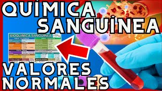 QUÍMICA SANGUÍNEA VALORES NORMALES  GuiaMed [upl. by Lamson]