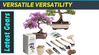 Bonsai Growing Seed Kit  2X Japanese Bonsai Trees  Complete Indoor Starter Kit for Bonsai [upl. by Huxham]