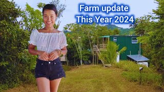 Farm tour in Puerto Rico tropical fruit trees update [upl. by Karilynn]