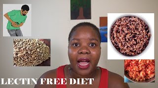 LECTINFREE DIET MY EXPERIENCE [upl. by Doro]