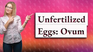 What is an unfertilized egg called in humans [upl. by Player]