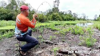 UMPAN DAGING AYAM DI SPOT INI LAKU KERAS  BIKIN JORAN MELENGKUNG TAJAM [upl. by Lot]